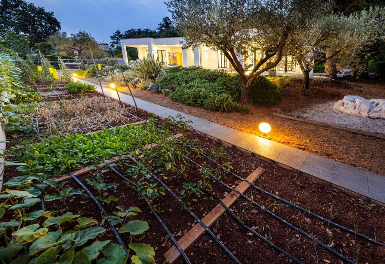 Goldimare Garden Residence Umag Buitenkant foto